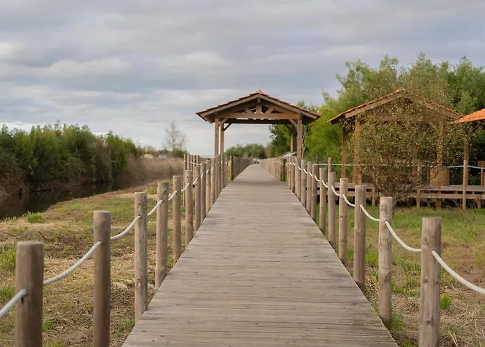 Aromas Flavors Tours Beach 伊斯莫里兹