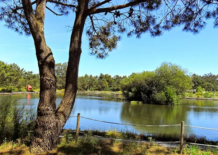 Aromas Flavors Tours Beach 公寓 *